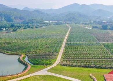 廣州市(shì)幸福田園蔬菜現(xiàn)代農(nóng)業(yè)産業(yè)園區(qū)項目